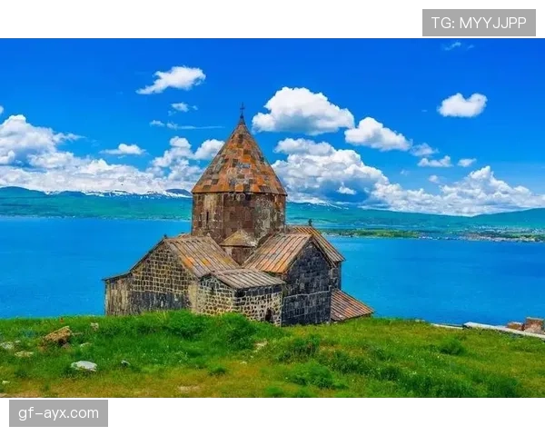 亚美尼亚国家队获高加索虎助威，国际赛场迎新突破引期待