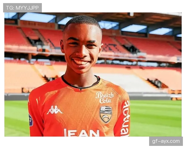 什克里尼亚尔防守风格与战术适配性分析